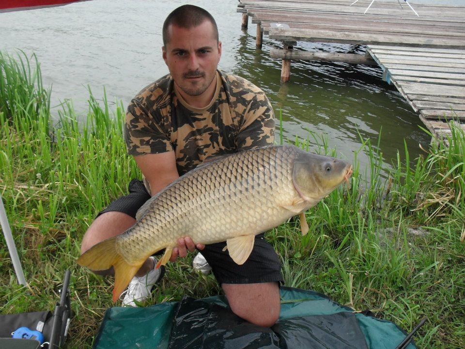 ccarp - 304119_226438954084201_100001542957380_594709_666266877_n.jpg
